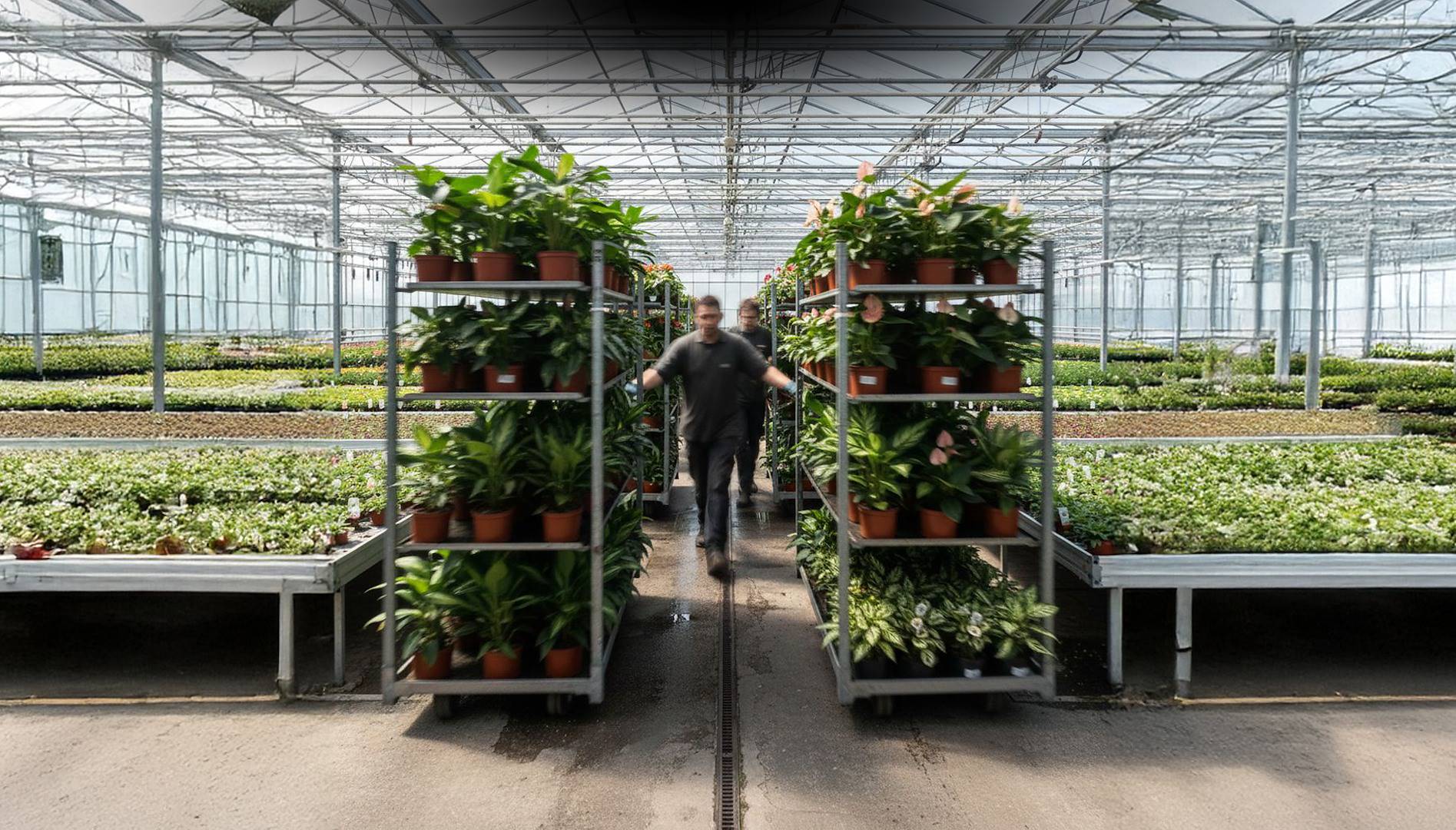 One exchange, two seconds, zero doubts.